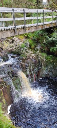 A környék, Au coin de la cascade in Ovifat