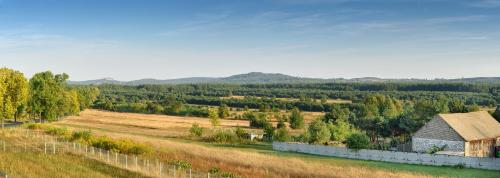Skats, Jurajska Stokrotka in Kotowice