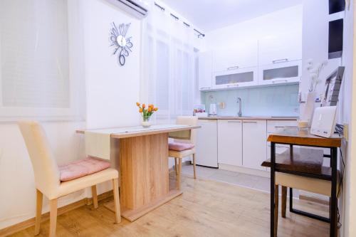 Kitchen, Studio Apartman Pega in Slunj