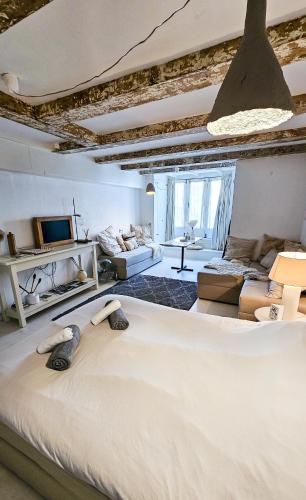 JoyJoyJoy the White Wilde ecolicious studio in a historic Canalhouse from 1799 with terrace at the canals 1