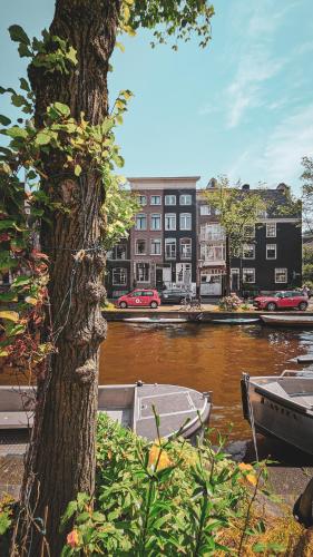 JoyJoyJoy the White Wilde ecolicious studio in a historic Canalhouse from 1799 with terrace at the canals, Amsterdam (photo 2)
