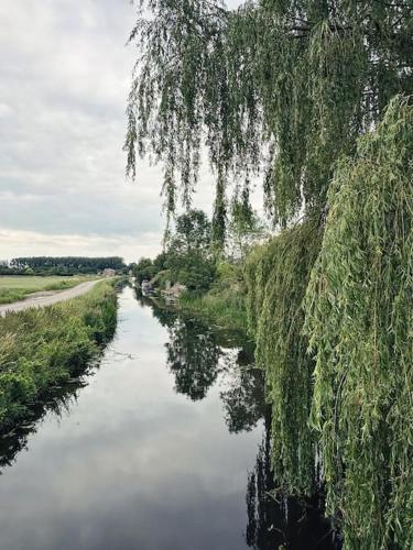 Living Like a Local at Dotties Living Like a Local at Dotties