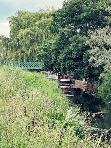 Living Like a Local at Dotties Living Like a Local at Dotties