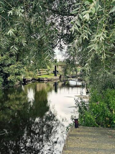 Living Like a Local at Dotties Living Like a Local at Dotties