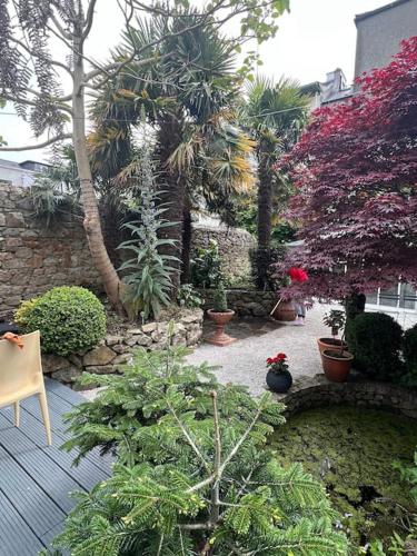 Hideaway Garden Paradise, Dublin (fotografie 8)