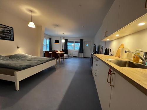Whaletours Apartments nr 1 in Ilulissat