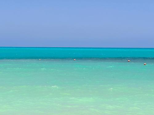 اكوه فيو الساحل الشمال, Эль-Аламейн (фото 11)