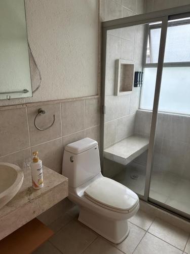 Residencia familiar Flor de loto in Texcalpan, Mexico