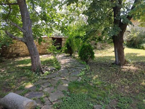 Kert, Villa Lavandula in Yavorovo