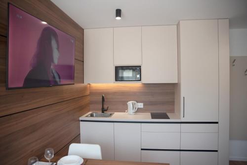 köök, Studio Apartman Petrinja in Petrinja