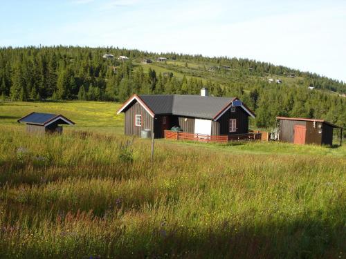 Tampilan eksterior, Hytte på fjellet, med mange turmuligheter ! (Hytte pa fjellet, med mange turmuligheter !) in Gol