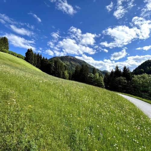 景觀, Ferienwohnung Luchtmaurer Auszeit in 菲伯布倫