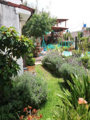 zahrada, MARGARITA Hotel in Mexiquito