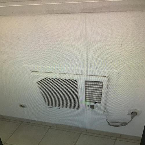 Les paletuviers in Baie-Mahault