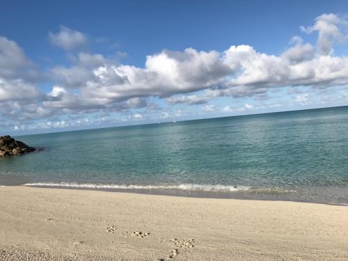 . Bimini Cove Resort and Marina