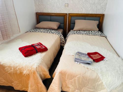 Cosy flat with rooftop Cosy flat with rooftop