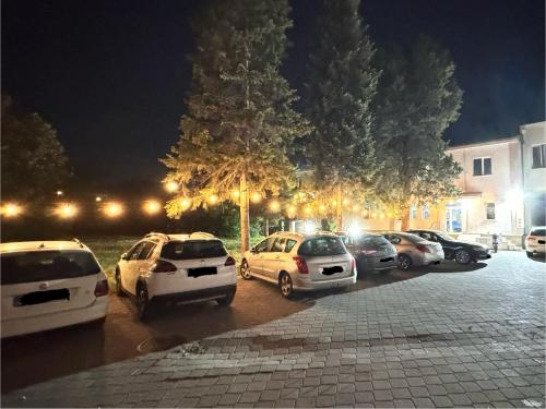 Hotel Istanbul, Skopje (fotografie 6)