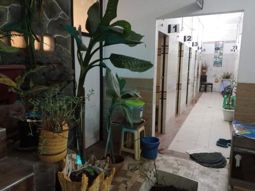 桑拿, Casa Qura Qura in 科恰班巴