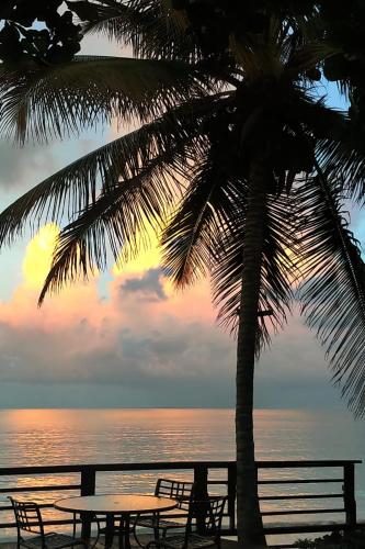 MYSTIC RIDGE RESORT in Ocho Ríos