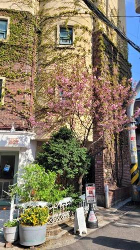 Artistic inspiration 2BR #Local #Rest #Private OnModa, Soul (fotografie 7)