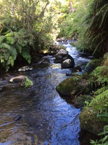 ทัศนียภาพ, Kowhai Lodge in โรริมู