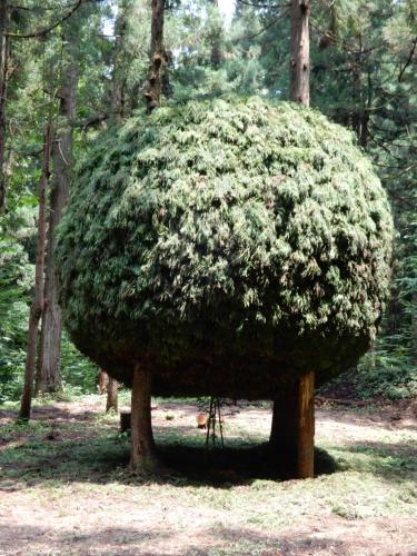 Guest House Korasshai Nakajo