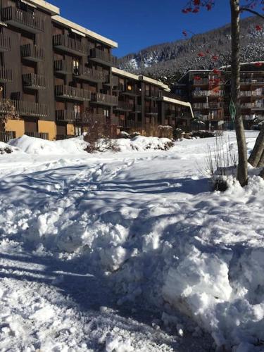 L'étoile des neiges Studio confort pour 4 personnes (L'etoile des neiges Studio confort pour 4 personnes) in Montclar