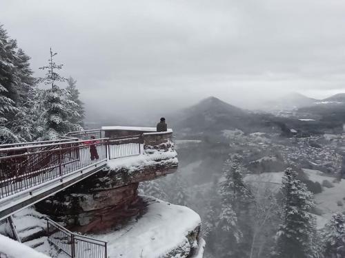 Appartement cosy calme & central in Senones