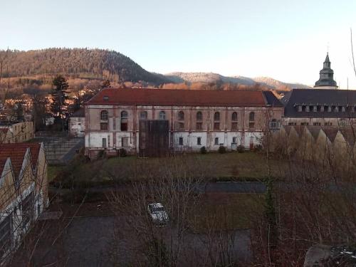 Appartement cosy calme & central in Senones