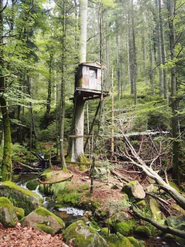 Appartement cosy calme & central in Senones