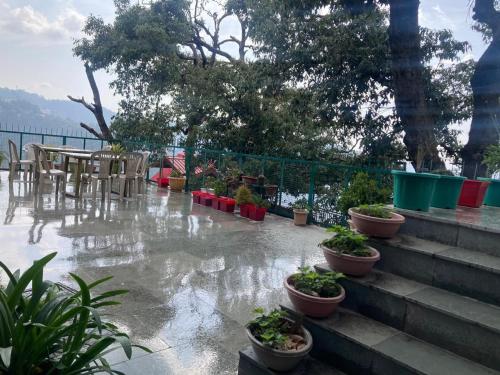 Zu-Zu Hostel in ชิมลา