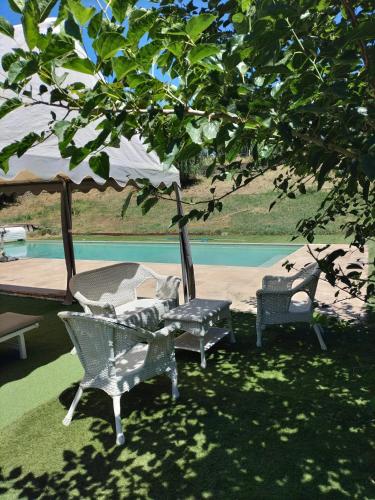 Jardí, Villa charmante à Sisteron avec piscine privée (Villa charmante a Sisteron avec piscine privee) in Sisteron