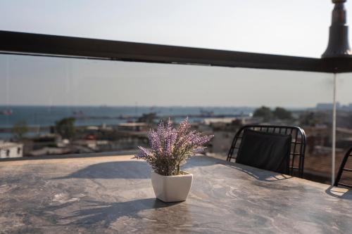York House Istanbul Hotel - Hôtel - Istanbul