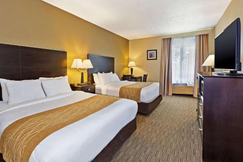 Comfort Inn Whitehall - image 2