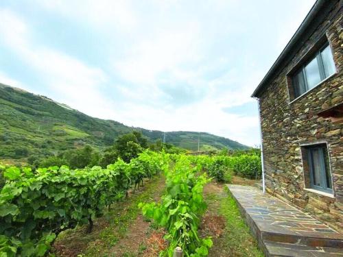 Quinta do Enxertado gîte à louer Alvações do Corgo