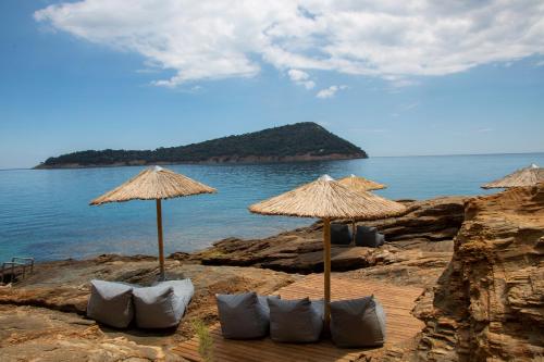 Faros View 5