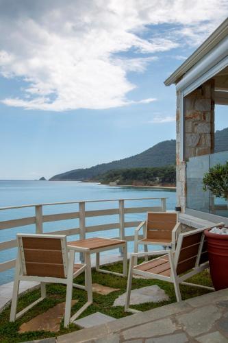Faros View 4