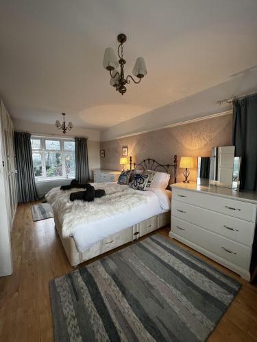 Mumbles Seaside sleeps up 11 Pets allowed