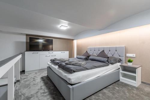 Larina Residence, Budapešť (fotografie 5)