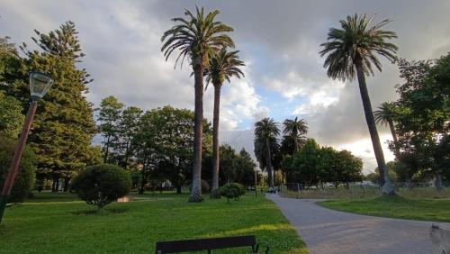 Macarena, Gijón (fotografie 9)