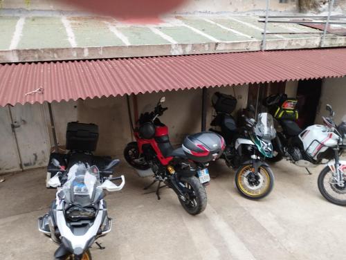 B&B Bassu