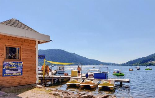 Viesnīcas āriene, Lovely Home In Taintrux With Wifi in Taintrux