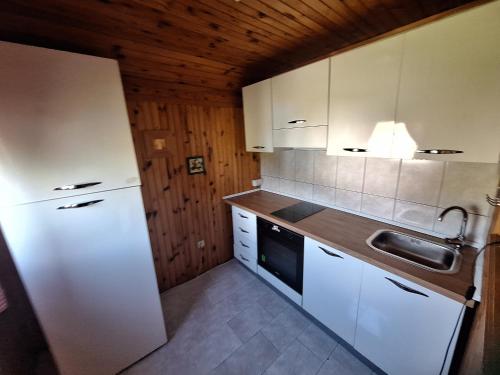 Chalet Hill Zabljak - image 7