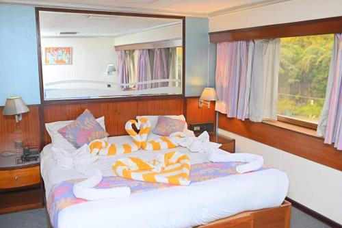 نايل كروز المعادي