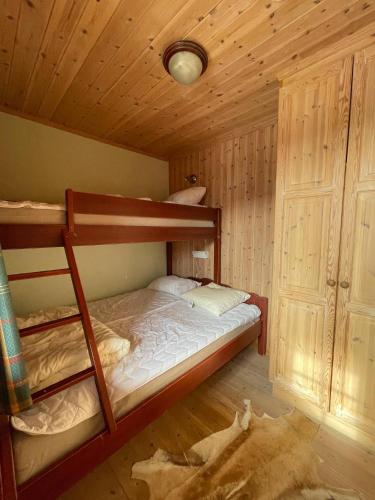 Storsten 725C in Trysil