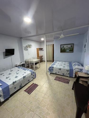 Blue Morpho House B&B in Quepos