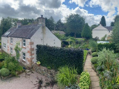 Yew Tree - image 10