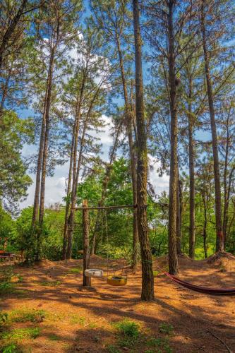 Pine Hill Villas & Camping - image 5