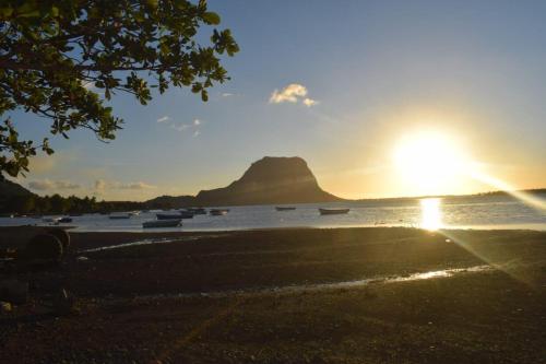 Sealouette Kite Studio