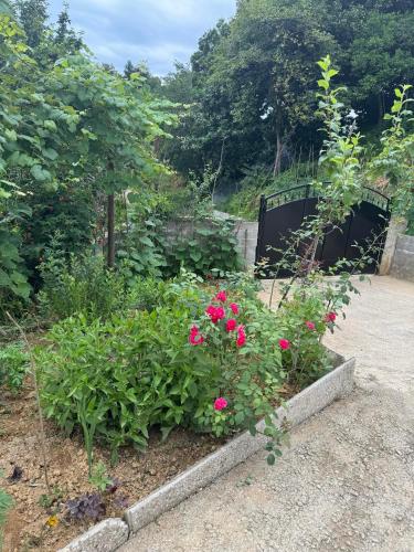 House in Tsikhisdziri, Kobuleti in Buknari